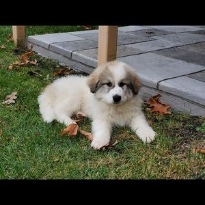 Meet your Posher, Nadia